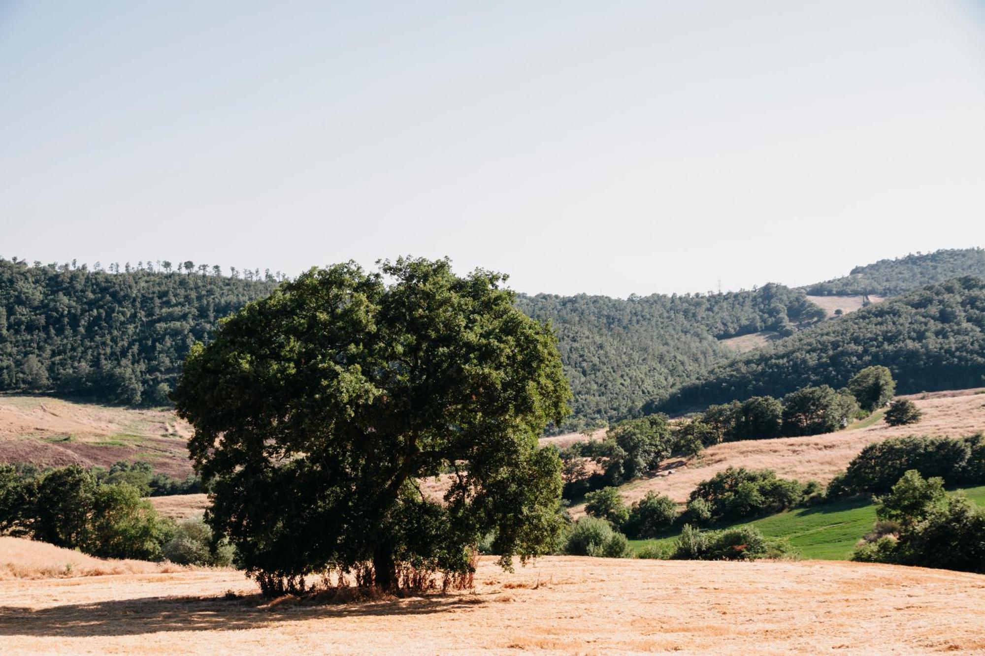 فيلا Poggio Al Vento مانشانو المظهر الخارجي الصورة